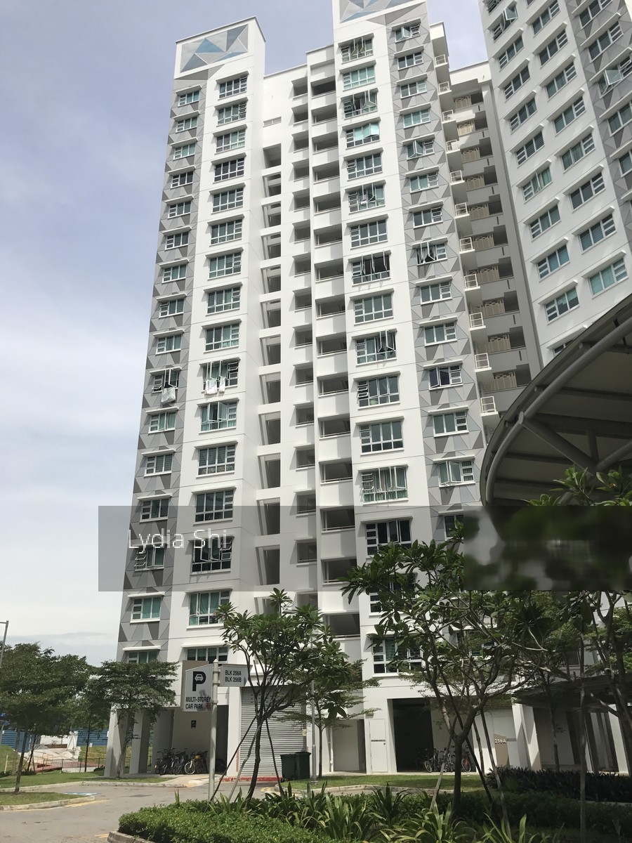 Blk 256A Sumang Walk (Punggol), HDB 4 Rooms #155446462